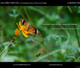 Noticing Correct Action for Yourself ~ A Compelling Look at Choice and Change by Barbara Hyde