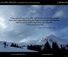 The Exchanges We Make ~ A Compelling Look at Choice and Change by Barbara Hyde