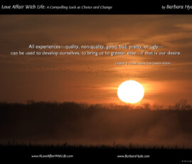Bringing Ourselves to Greater Ease ~ A Compelling Look at Choice and Change by Barbara Hyde