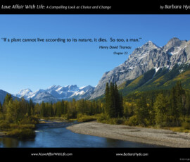Nourishing Ourselves by Our Choices ~ A Compelling Look at Choice and Change by Barbara Hyde